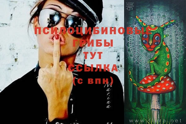 прущая мука Пестово