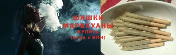 прущий лед Пересвет