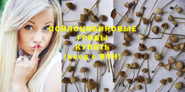 прущий лед Пересвет