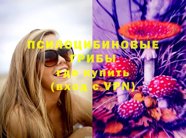 прущий лед Пересвет