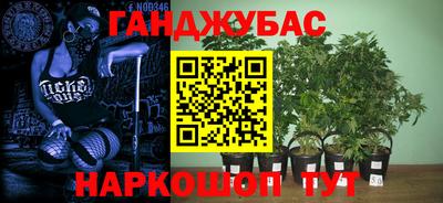 jwh Кандалакша