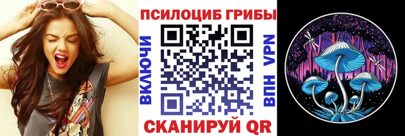 кракен как войти  Краснодар  Галлюциногенные грибы ЛСД 