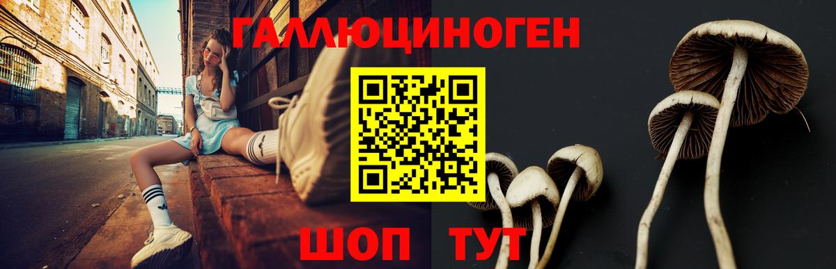 Псилоцибиновые грибы мухоморы  Вход с VPN  Краснодар 